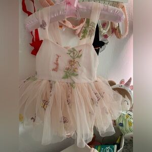 Arabella and Rose super cute dress, 3 to 6 months.